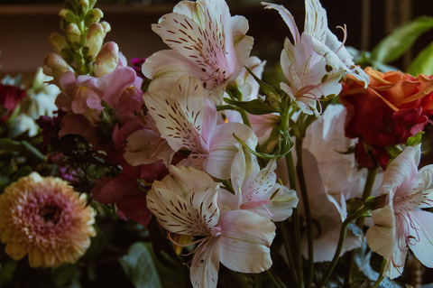 Imagem do cabeçalho do OnlyFans de yuccaverde