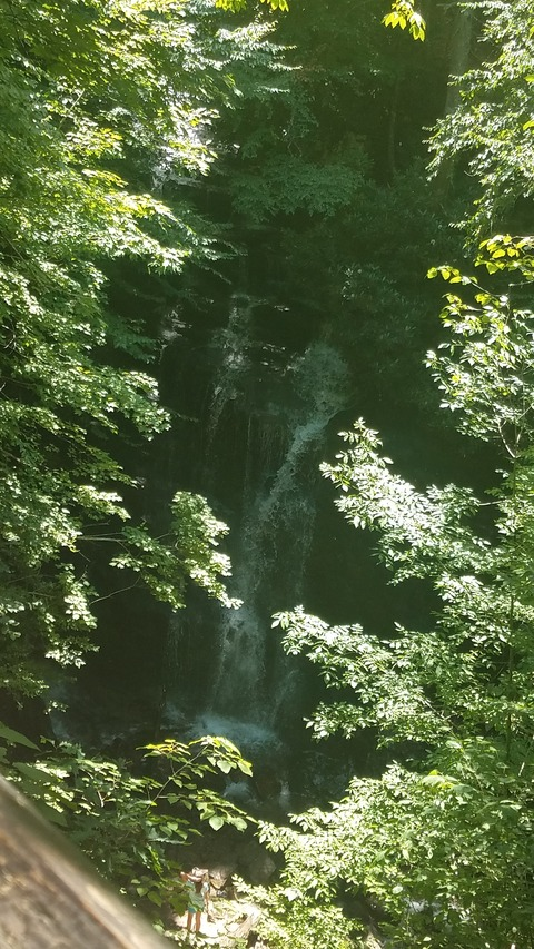 OnlyFans Titelbild yummibella