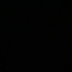 zaddy83 için OnlyFans profil resmi