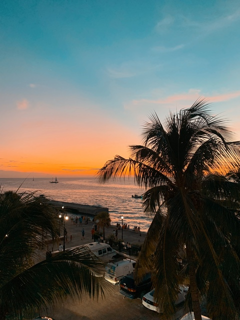 zoewildxx님의 OnlyFans 헤더 사진